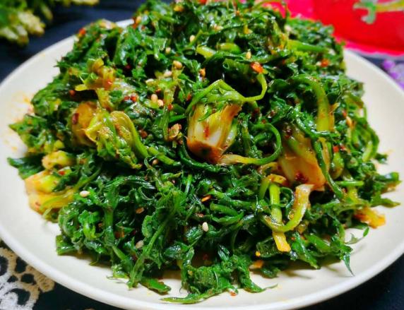 [草酸]阳春三月这个菜别错过，含钙量很高，简单拌一拌，味道鲜美比肉香