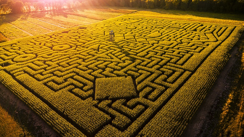 |善于寻找四柱中的最薄弱点和最优势点