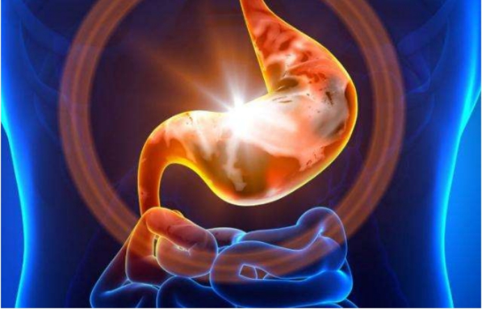 科学家|科学家惊人发现,你的身体内有“第二大脑”,它决定你的健康