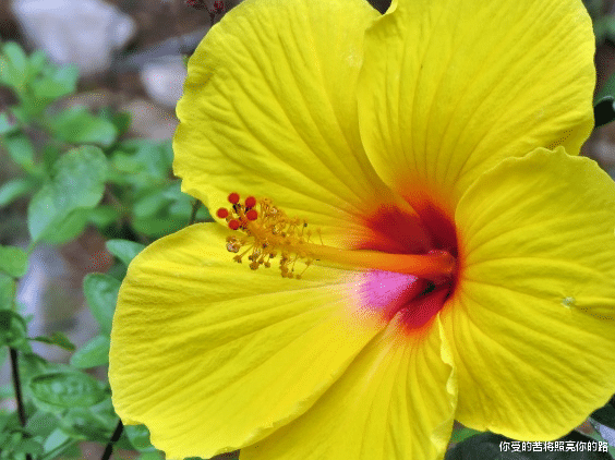 「运势」进入6月上旬,4属相福满禄满,财丰运旺,日子红红火火