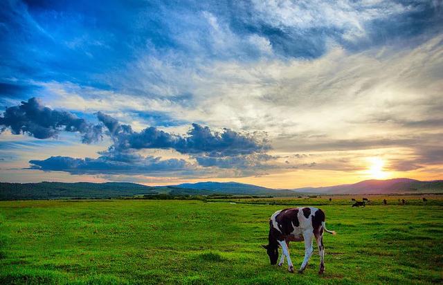 旅行▲错过了这里，就等于错过了“中国最美的夏天”
