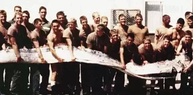 「大王乌贼」5个真实存在世界上的“怪兽”,幸好它们只活在海里!