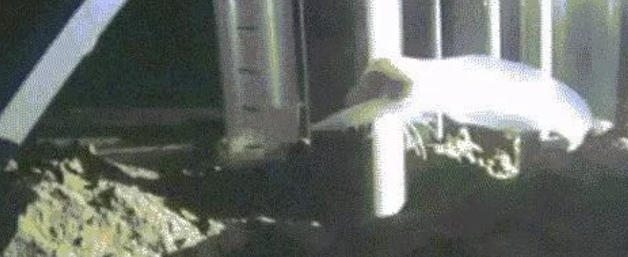 马里亚纳海沟@机器人在8000米深海考察,无意中拍摄到的画面,颠覆人们认知