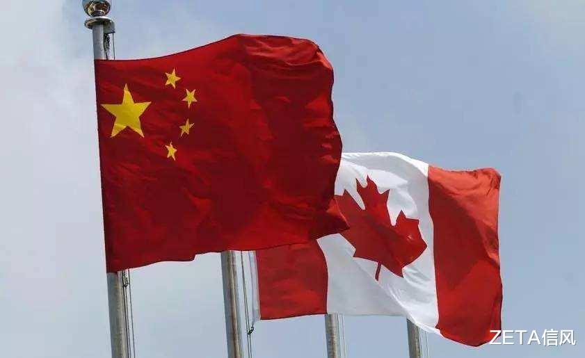 加拿大政客：我要“批評”中國瞭！-圖3