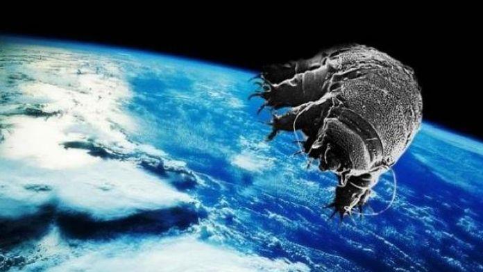 「火星」人类20年后殖民火星?科学家提出用地表最强生物改造人类基因!