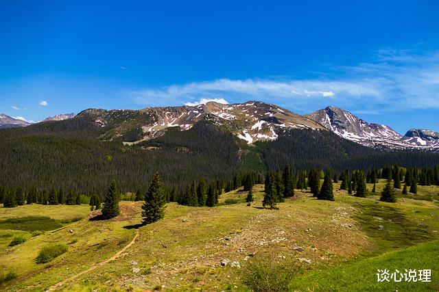 运势|12月，红鸾送喜，喜鹊枝头闹，3星座旧爱回眸，情浓一世不分离