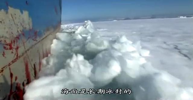 『科学家』哪有什么深海恐惧！8.9分纪录片告诉你来自海底的求生欲