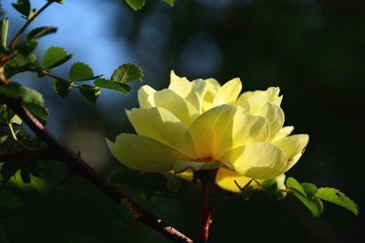 运势|8月上上吉，9月发大财，4大生肖贵人、喜事甩不掉，天天咧嘴笑