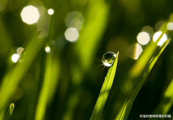 运势|进入8月份，4属相运势上上签，发家又致富，好运连连，步步高升