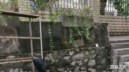 容县之声|不幸！广西一高校男学生从七楼坠下，送医后不治身亡