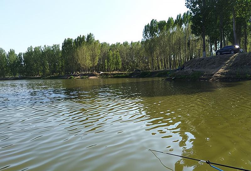 米饭|钓鱼前有酒有肉,钓鱼后米饭咸菜,谁说钓鱼不花钱