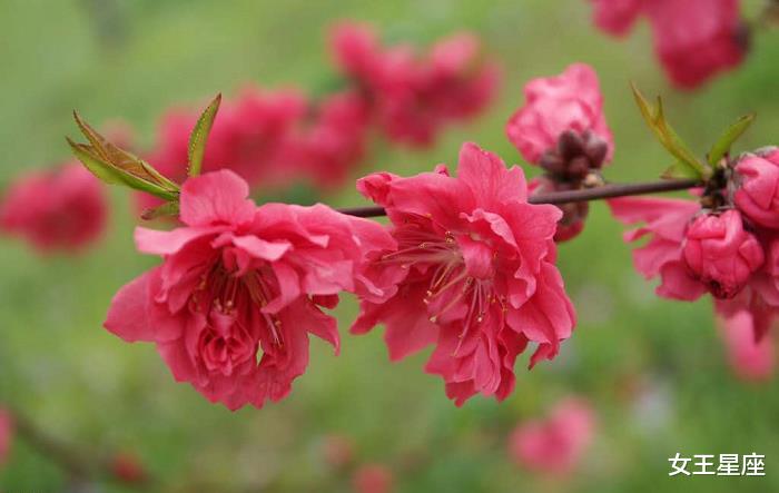 「生肖」这3个生肖6月24号之后有财神亲临家门，十有八九发横财