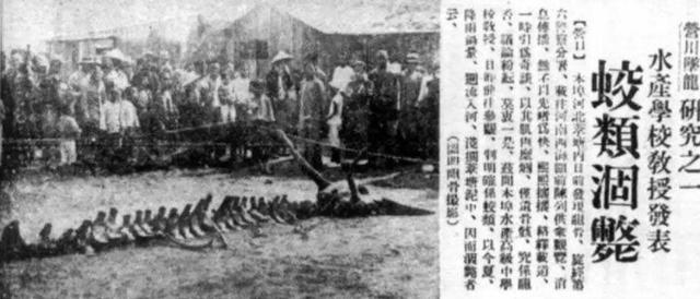 『营口』1934年“营口坠龙”事件:到底是真是假?老人上交龙骨揭开实情