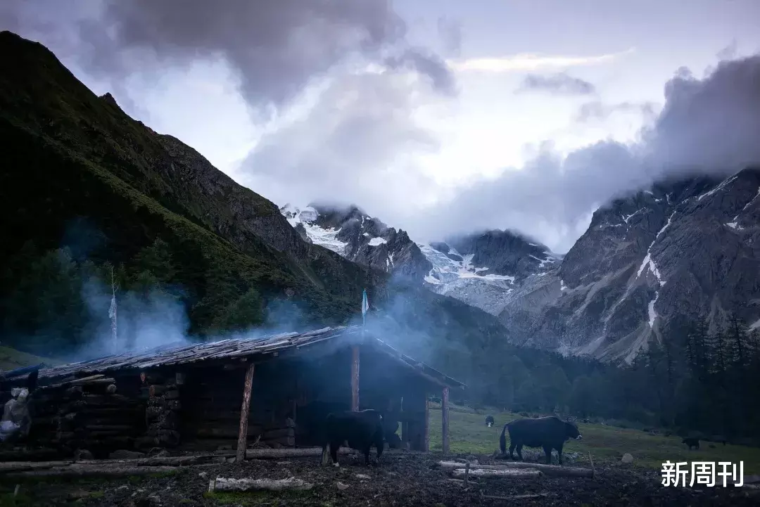 『有期徒刑』护林员肖林：用三十五年与大山和解