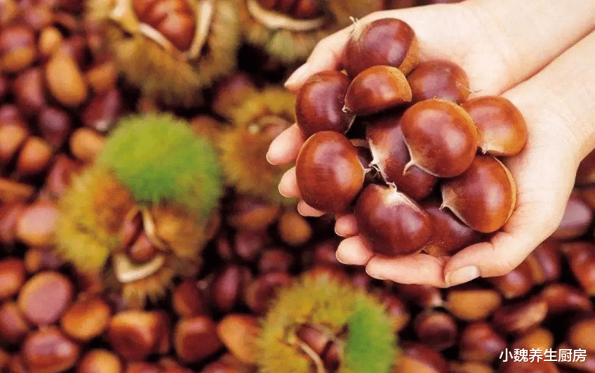板栗|买板栗时，挑个头圆的还是扁的？老果农说漏了嘴，别再买错了