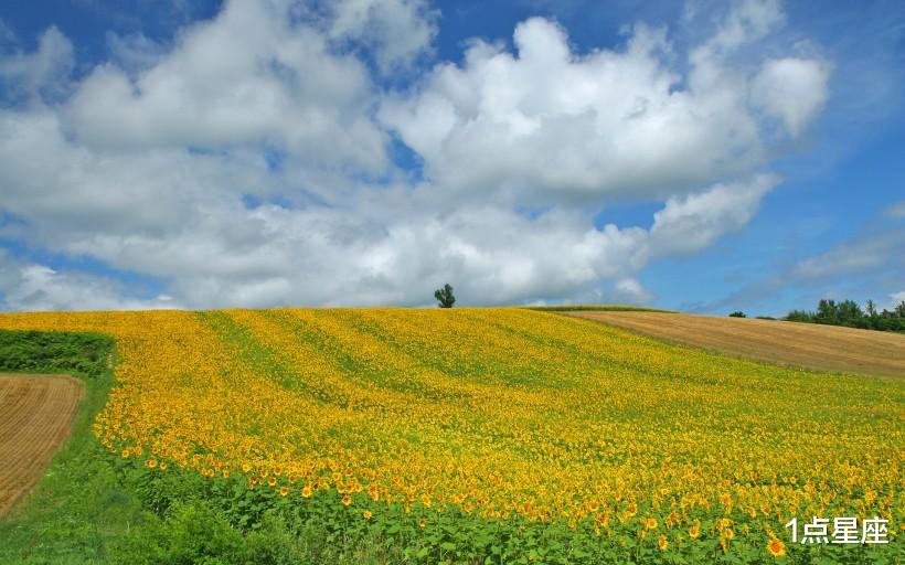 射手女：霉运散去、喜从天降的星座，好运连连，万事顺遂