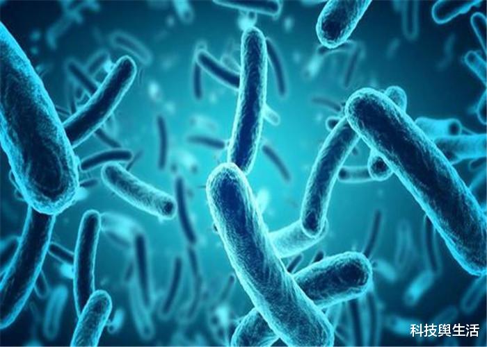 科学家@人的一生转瞬即逝，活着的意义是什么？科学家说出真理！