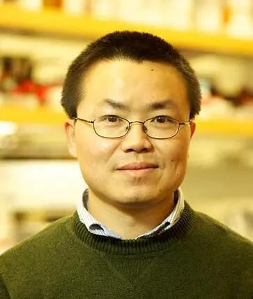 #芯片#痛心，美国顶尖的芯片技术专家前5位都是中国人，你知道是谁么