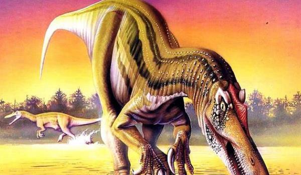 恐龙@别被电影里的恐龙骗了，最真实的恐龙，有可能长这个样子！