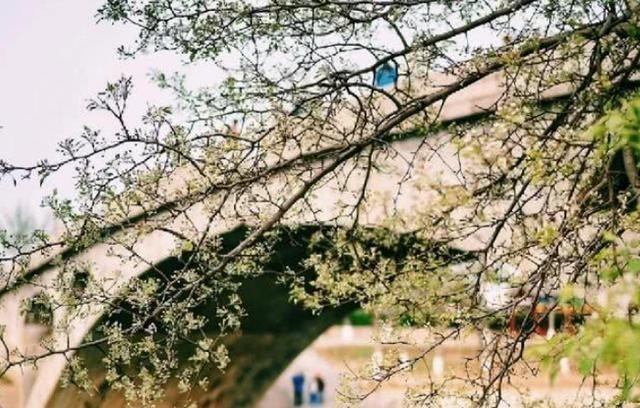 石家庄|中国名字“最土”的城市，明明是个二线大城市，名字却很普通