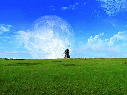 白羊座|下月初，恩爱往事，前任归来，交出真心，掏出真情，执手共度余生