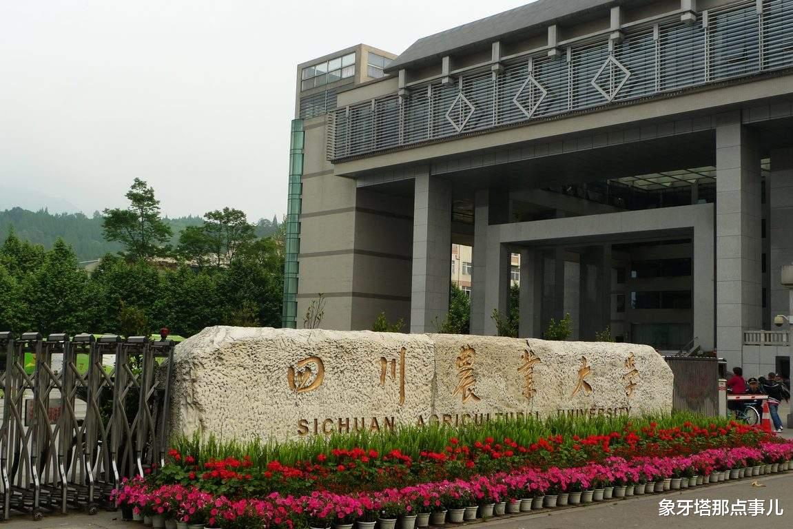 高校|双一流“期末考”倒计时，四所高校被传“下车”，有你学校吗？