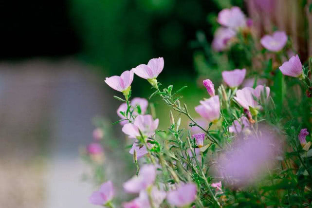 「白羊座」2020年期间，这3生肖四方有贵人，八面聚财源，不愁出人头地！