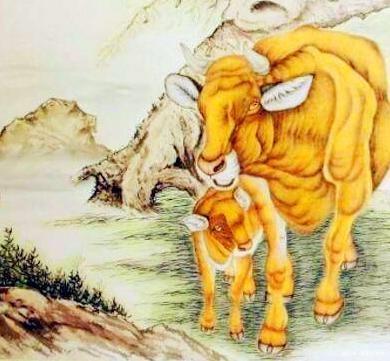 生肖|2020年最惹不起的3生肖，喜事扑面来，地上生财，66大顺