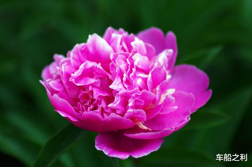 生肖：7月3号，有财可发的3属相，八方贵人来，生意兴隆赚钱赚到手软