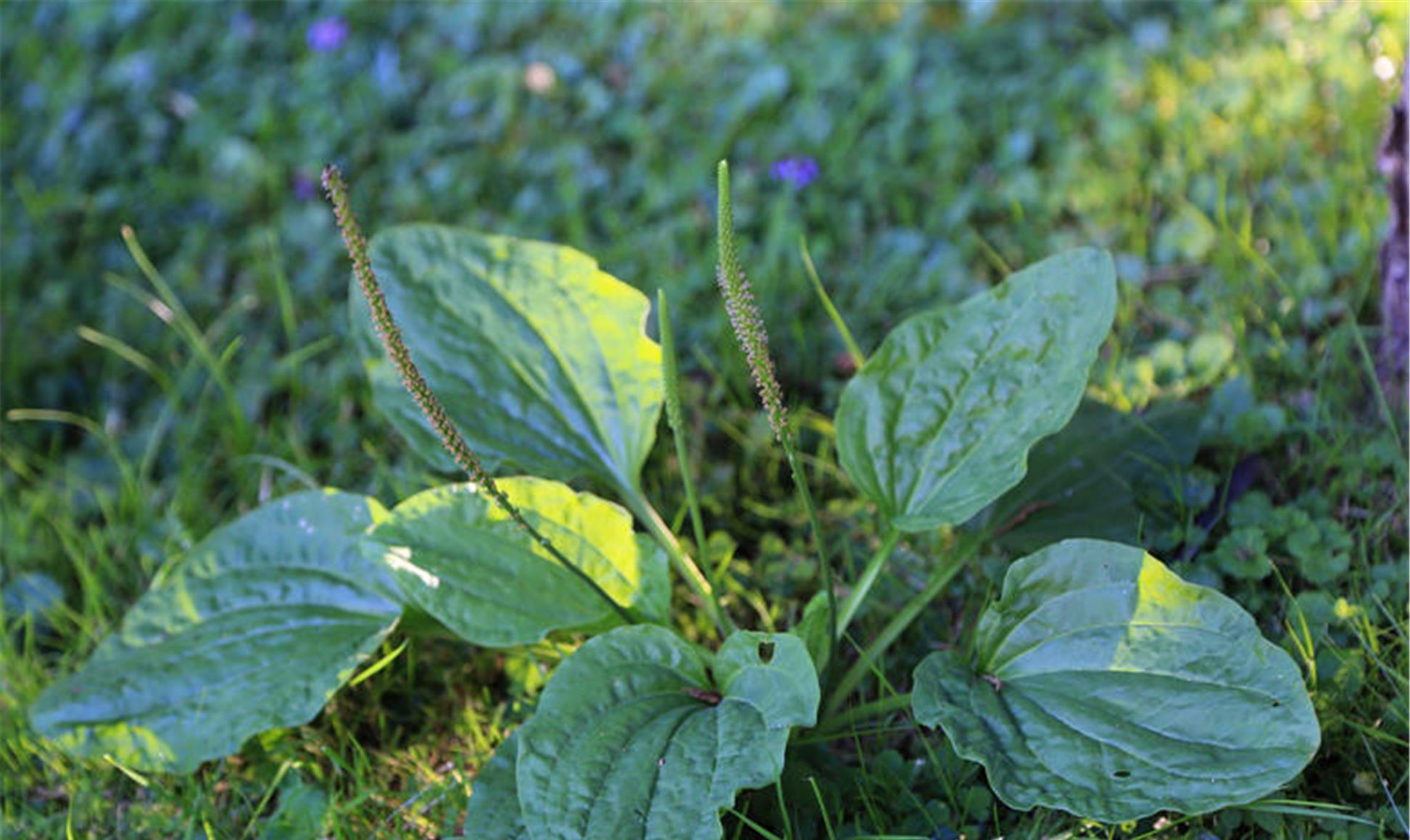 绝经|身上若2处“发痒”,很遗憾通知你:体内血糖已“超标”