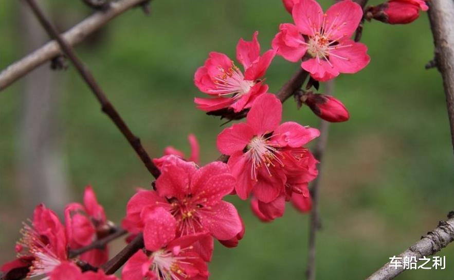 『生肖』恭喜！7月5号3生肖好运到，被列入幸运名单，财如雨下，不接不吉