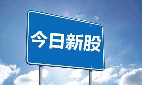 创业板|你打新有没有中过签呢?为什么打新中不到签,原因在哪里?