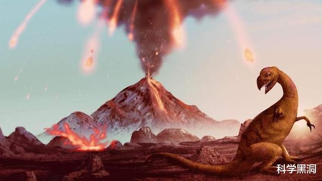 哺乳动物|人类全身“无毛”，却单独留下头和特殊部位的毛发？是什么原因？