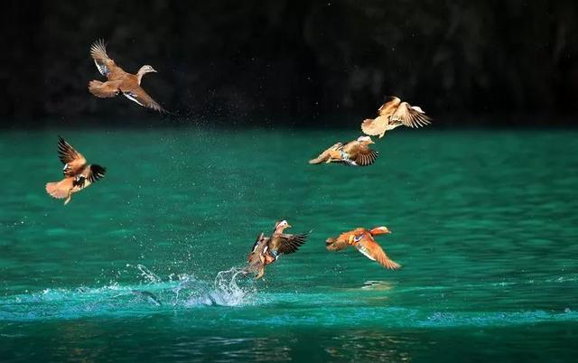 铜仁|对不起，我要去铜仁了