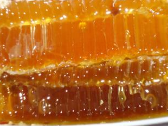 #肝脏#天然“强肝剂”发现了，平时放开肚皮吃它，排出肝毒，远离肝病！