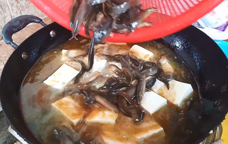泥鳅|中国名菜泥鳅钻豆腐，真的是泥鳅钻进豆腐吗？实验“真相”来了