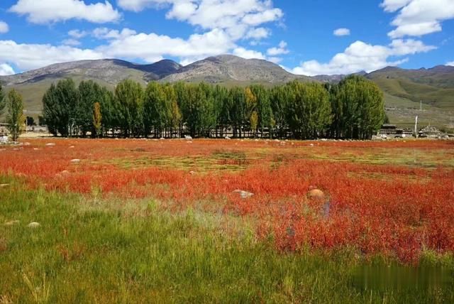 稻城亚丁@稻城亚丁不断被唱衰，景色绝美也留不住旅客：门票太贵，设施太烂