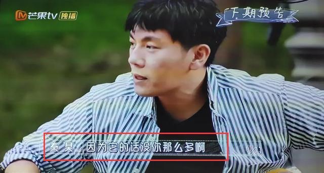 秦昊|秦昊和伊能静很配，看日常合集，一个是矫情大师，一个是治矫达人