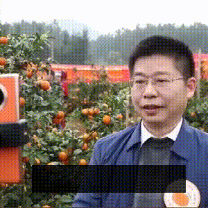 酒驾■OMG！湖南县长、副县长直播“带货”！网友：我先买为敬