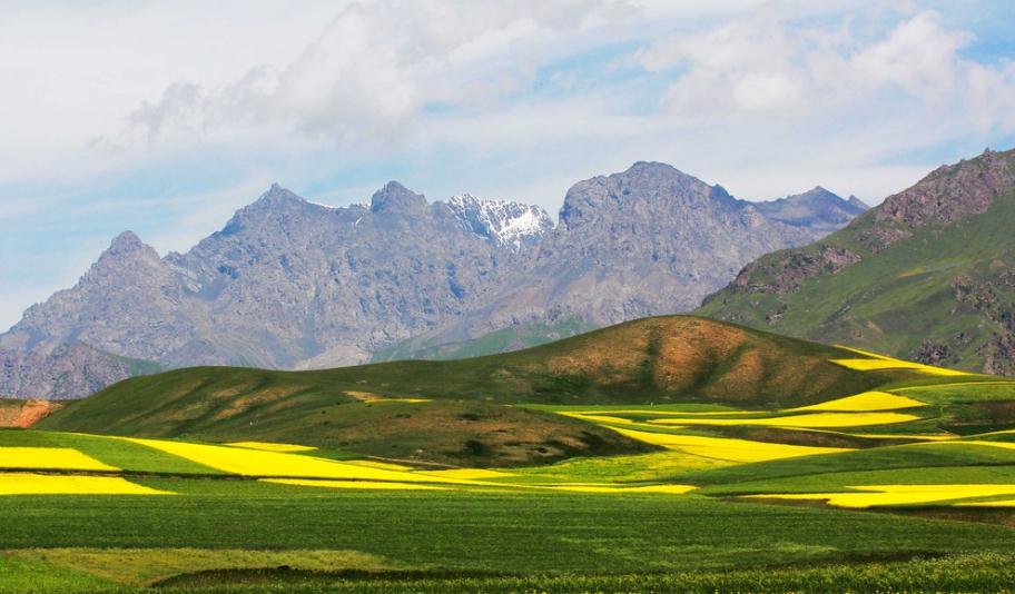 甘肃|甘肃发生了啥？24万神兵火速“支援”，引世界持续持续关注