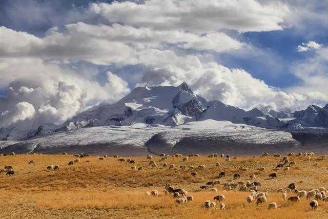 日喀则|日喀则，一个更接近天空的地方