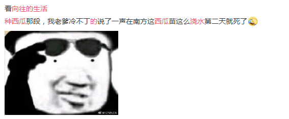 『张子枫』向往的生活：张子枫给瓜苗浇水！懂的人看了无奈：还得靠工作人员