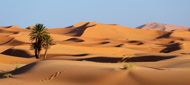 塞罕坝|占据我国国土近1/5的沙漠，是我国的拖累还是资源呢？