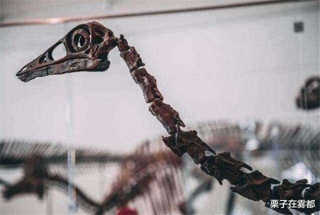 #古生物学#北大“最寂寞”的专业，一届仅一人，在校生：不敢逃课、不敢挂科