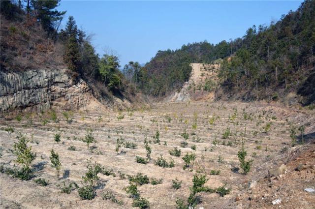 臆说古史|男子隐居深山5年，造10000余米围栏“圈”山养羊，看生活成啥样子