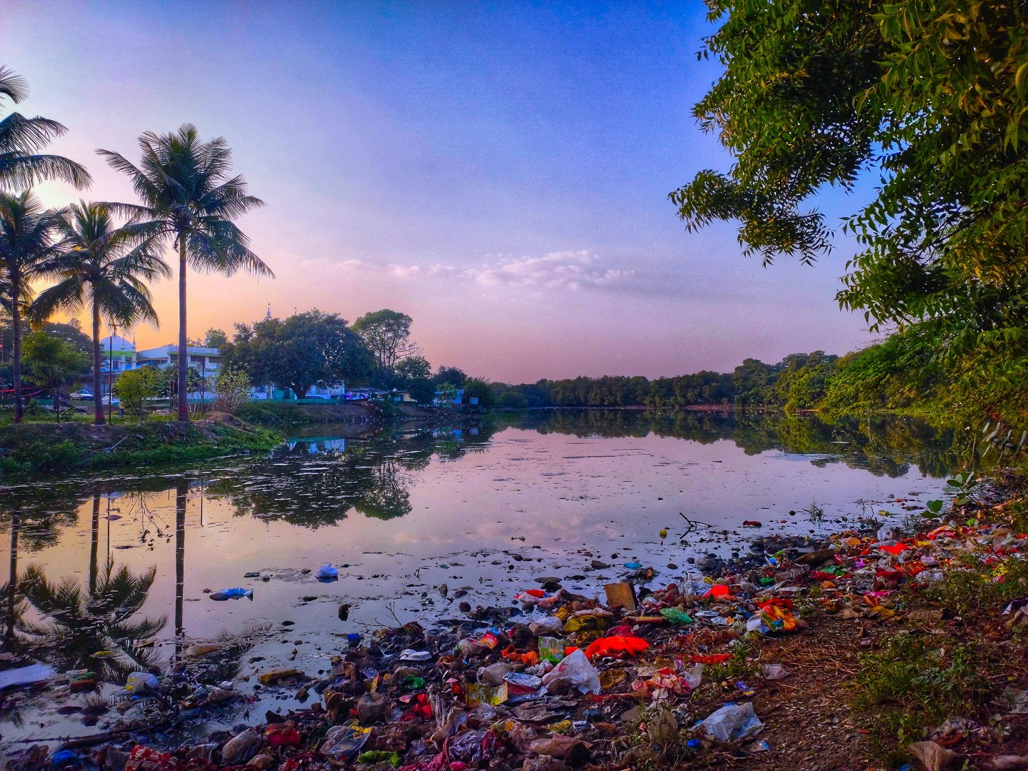垃圾分类，是我们共同的责任，势在必行