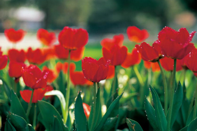 生肖|未来2个月有贵人出手相助，事业底层翻身，可以赚到钱的3个生肖！