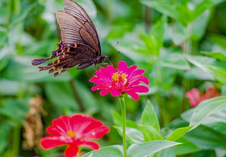 :最旺子女的3大生肖女,生儿财运亨通,生女享清福!