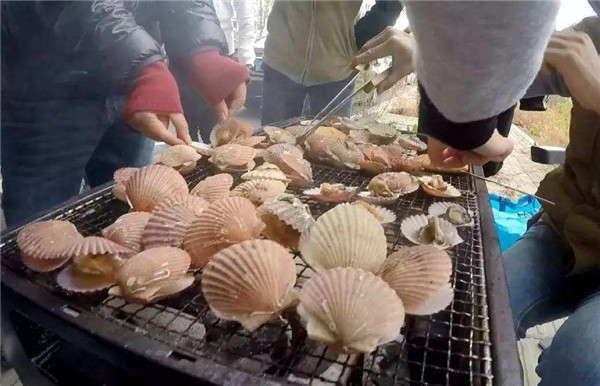 扇贝|当你在吃蒜蓉扇贝的时候，有没有想过，扇贝正在用200只眼睛看你