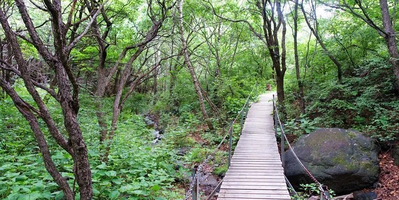 灵山|京城第一峰：要爬就爬最高的山